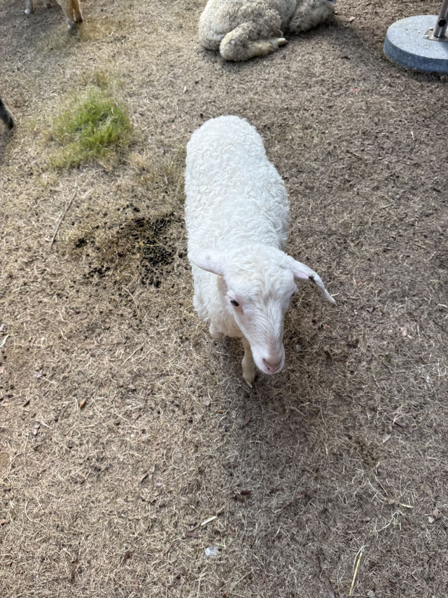 佛山 / 嶺南天地 佛山 / 嶺南天地