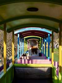 宜興這的秋天 建議去這裡