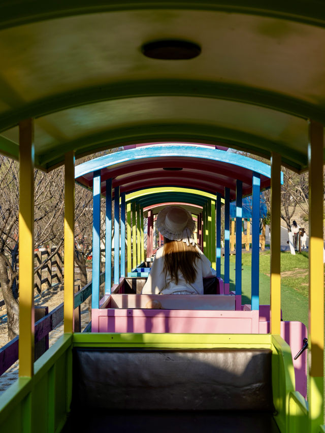 宜興這的秋天 建議去這裡