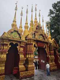 西雙版納市區不得不去的曼聽公園和總佛寺