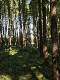 鹽城｜江蘇肯尼亞名不虛傳