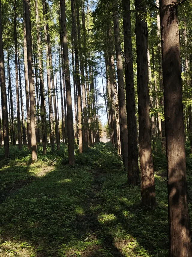 鹽城｜江蘇肯尼亞名不虛傳