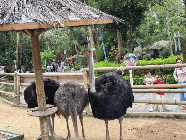 三亞蜈支洲島 三亞蜈支洲島