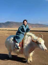 晴空下的香格里拉漫步-還有可以騎