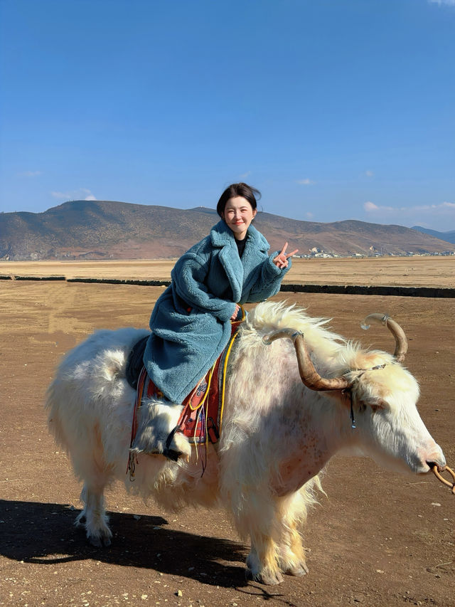 晴空下的香格里拉漫步-還有可以騎