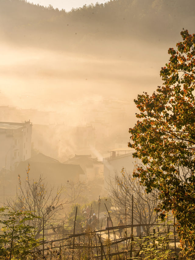 國家地理沒有騙我！江西剛剛回來後勁超大..