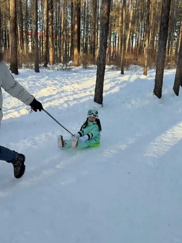 實話難聽,但這就是冬天帶娃來哈爾濱的現狀 實話難聽,但這就是冬天帶娃來哈爾濱的現狀