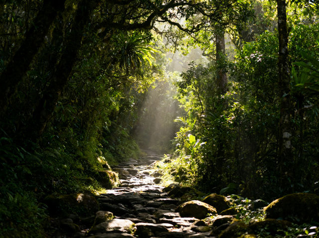 6 Days in Kota Kinabalu: Borneo’s Mix of Adventure & Culture❤️ 6 Days in Kota Kinabalu: Borneo’s Mix of Adventure & Culture❤️