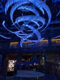 【爆款必看】西安W酒店，開啟你的奢華體驗之旅！不僅住得舒