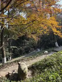 趁紅楓銀杏未落，走一趟莫干山蔣公古道吧！