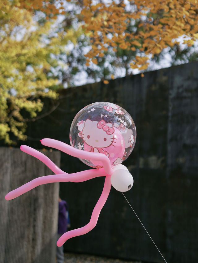 留住秋天的一百種方式