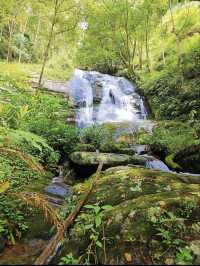 騰衝1日包車遊省心又盡興