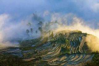 Bữa tiệc đường phố dài trên những thửa ruộng bậc thang rộng 10.000 mẫu ở Samaba bắt đầu.