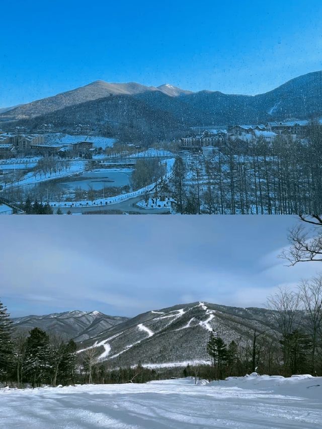 酒店樓下就可以滑雪絕了啊啊啊 酒店樓下就可以滑雪絕了啊啊啊