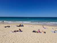 Surfing History with Scenic Views at Manley Ocean Beach