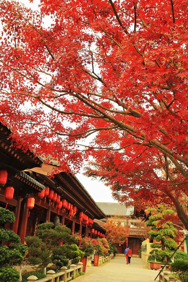 廣富林的深秋中式美學達到巔峰! 廣富林的深秋中式美學達到巔峰!