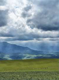 伊犁包車遊真的美到不想走