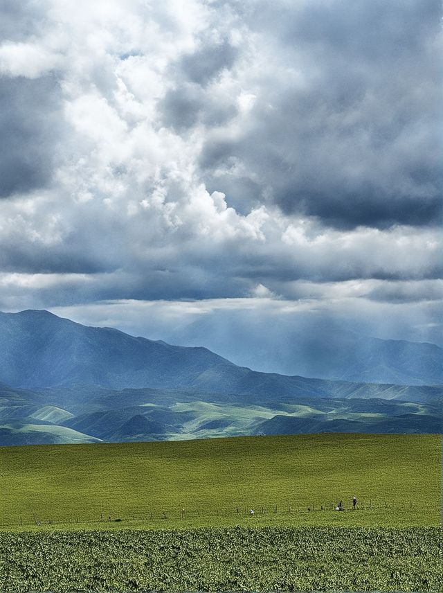 伊犁包車遊真的美到不想走 伊犁包車遊真的美到不想走