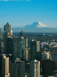 好好好你們西雅圖人有自己的富士山是吧