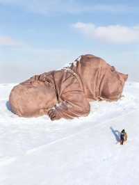 人生建議:一定要在冬天來一趟河西走廊