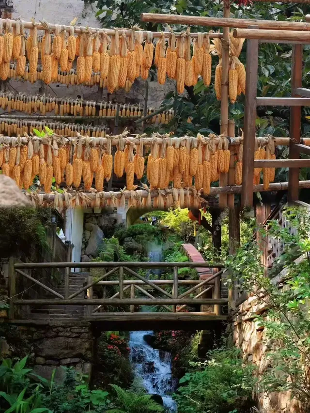 深秋去江西就這麼玩！3日遊照著走就行～