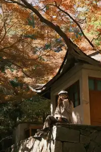 總要去莫干山看一次楓葉吧!