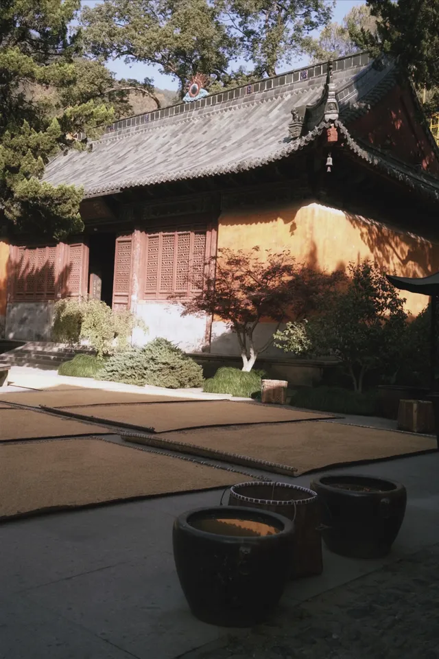 天台山藏了1400年的秘密,一草一木皆佛性 天台山藏了1400年的秘密,一草一木皆佛性