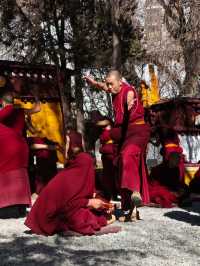 色拉寺值得去兩次!我的波折與圓滿全攻略