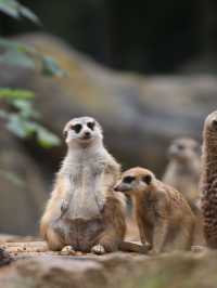 冬日限定南京包車遊太惬意啦