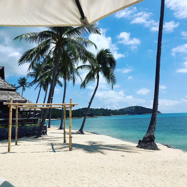 蘇梅島Nora海濱度假村體驗非凡 ： 諾拉海濱精品度假村 查汶海灘波普特，泰國 