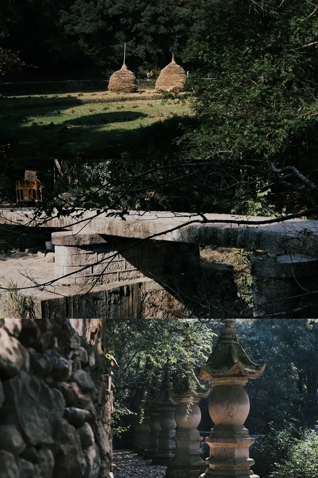 只因國清寺,去了一趟台州!(不自駕交通) 只因國清寺,去了一趟台州!(不自駕交通)