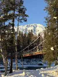 阿勒泰四天三晚旅行攻略 | 禾木&白哈巴