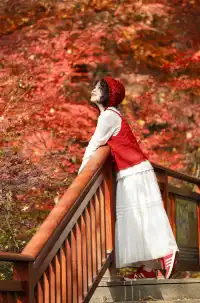 12·1南京棲霞山紅楓進入觀賞期～附路線～