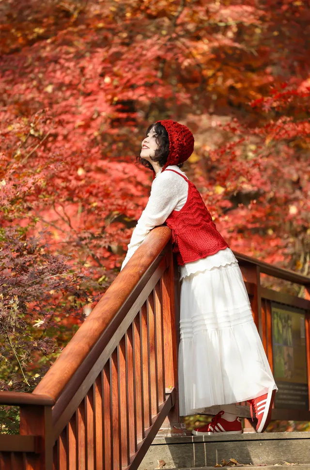 12·1南京棲霞山紅楓進入觀賞期～附路線～