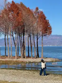愛回收|來大理直接複製這條洱海一日遊路線!