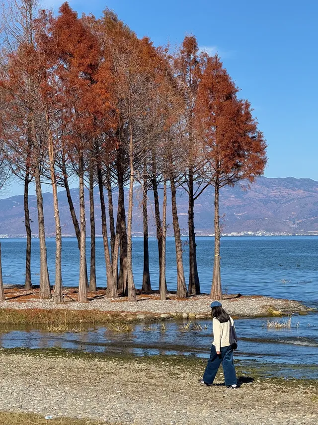 愛回收|來大理直接複製這條洱海一日遊路線! 愛回收|來大理直接複製這條洱海一日遊路線!