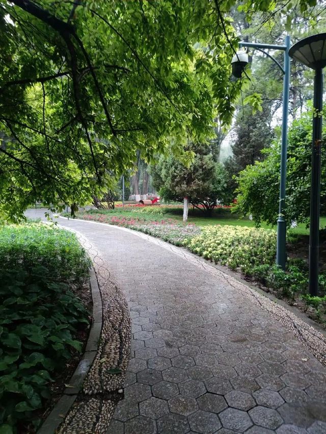 藏在城芯湟水畔，人文與自然的共生秘境