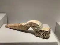 河南博物院重磅推出新展—孔子周遊列國