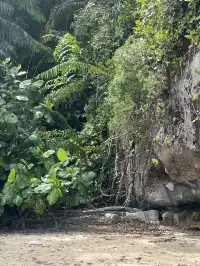 古晉十日：從山都望雨林到砂拉越河岸