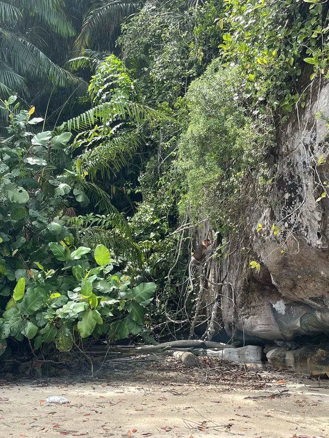 古晉十日：從山都望雨林到砂拉越河岸