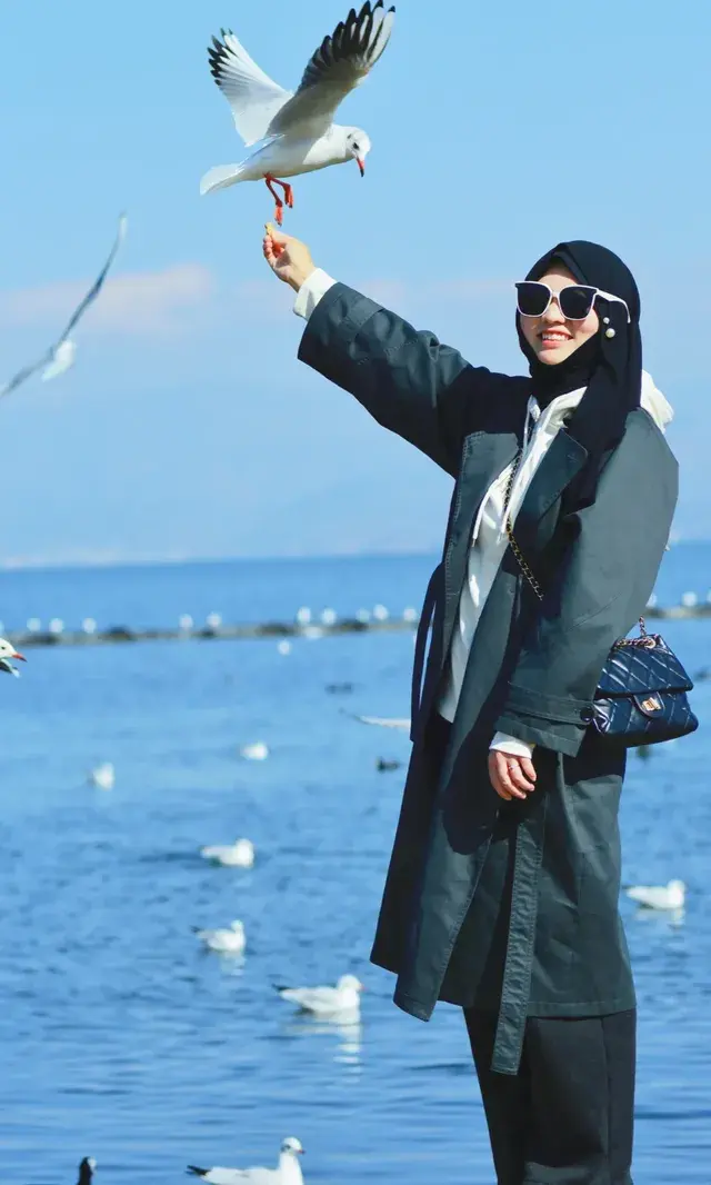 大理紅杉和觀海鷗精華路線！看這篇