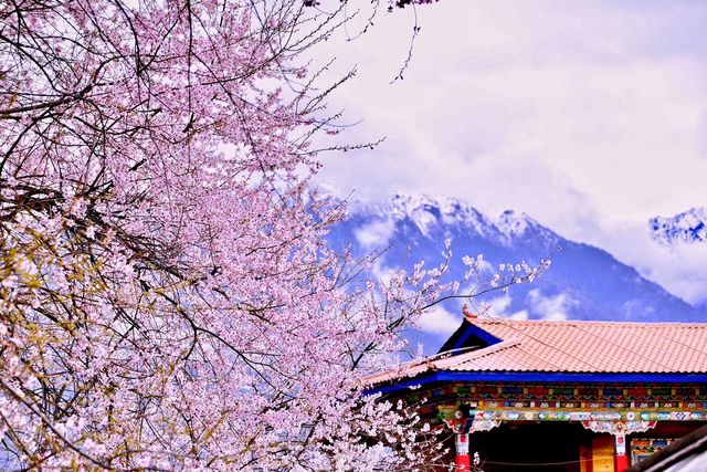 青藏11日遊快來抄作業啦