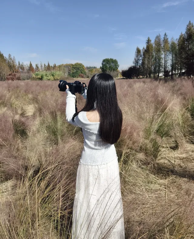 週末玩轉湖州莫干山 and 下渚湖濕地公園