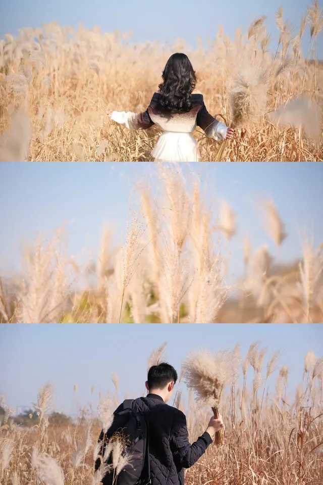 宜興｜城東梅林蘆葦蕩