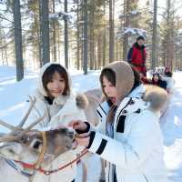 冬天去呼倫貝爾4日遊懶人攻略