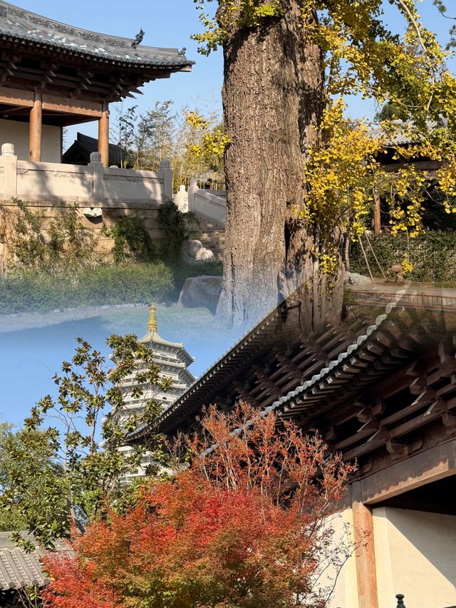 迄今為止,我最愛的江南古鎮出現啦 迄今為止,我最愛的江南古鎮出現啦