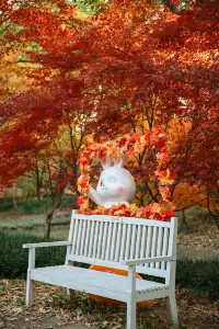 上海這裡的楓葉已經next level！附打卡路線