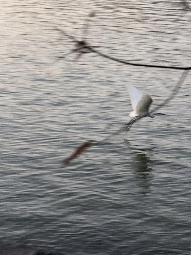 滴水湖攻略(附煙花、停車、路線及定位圖) 滴水湖攻略(附煙花、停車、路線及定位圖)