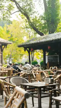 在成都茶舖坐了一下午,我卻莫名有想哭衝動