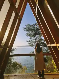 千島湖的秋意已加載完畢